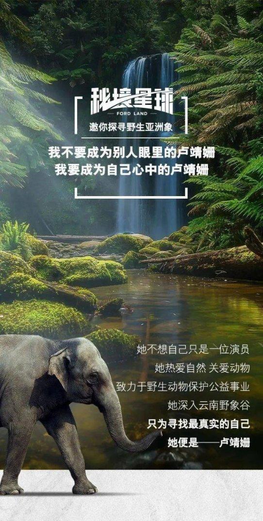 这样做的蒜香炒豆角，怎么吃怎么有味