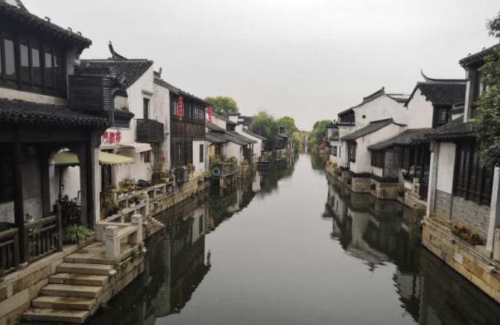 动物帮帮忙保卫家园